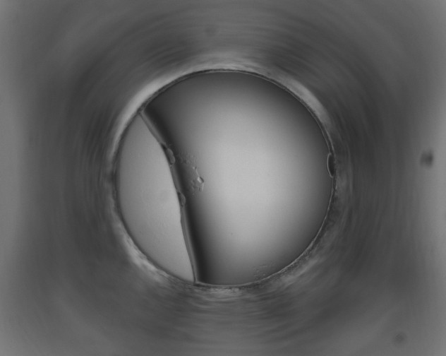X0000093561144200710150951