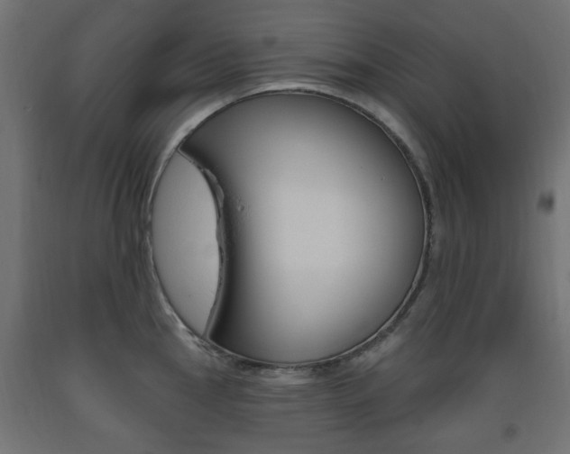 X0000093561145200710150951