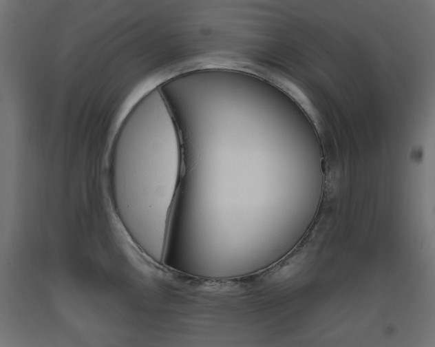 X0000093561146200710150951