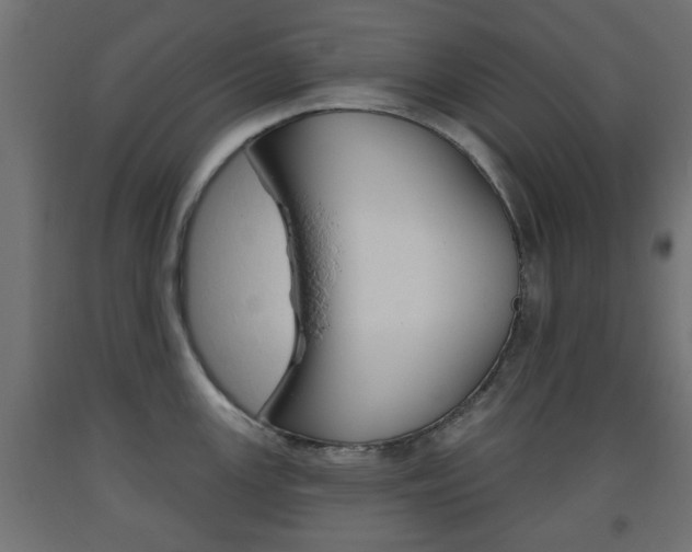 X0000093561147200710150951
