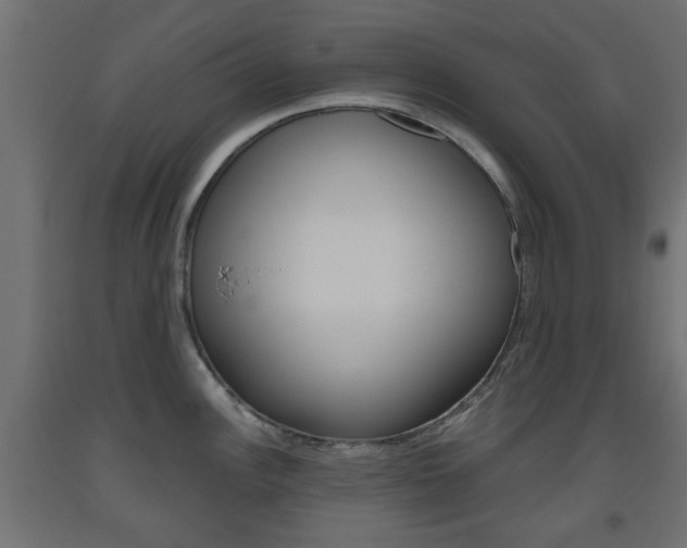 X0000093561148200710150951