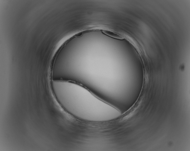 X0000093561149200710150951