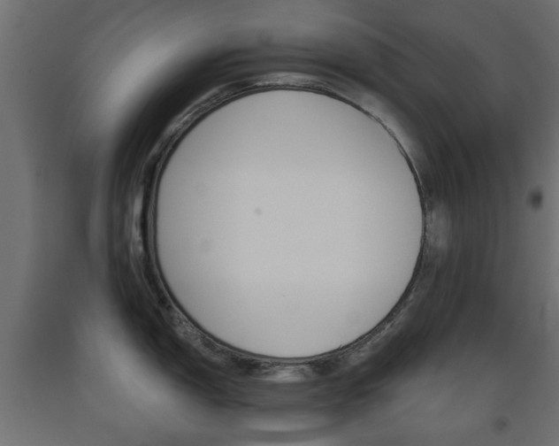 X0000093561150200710150951