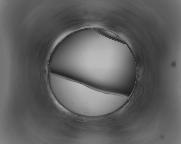 X0000093561151200710150951