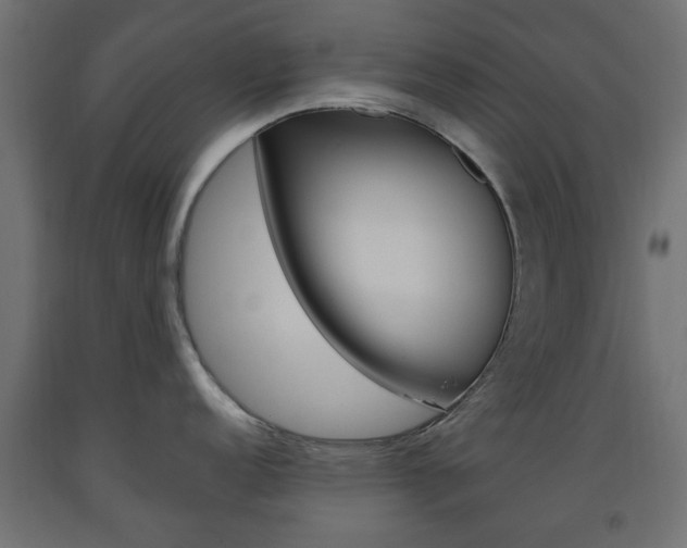 X0000093561152200710150951