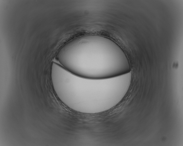 X0000093561153200710150951