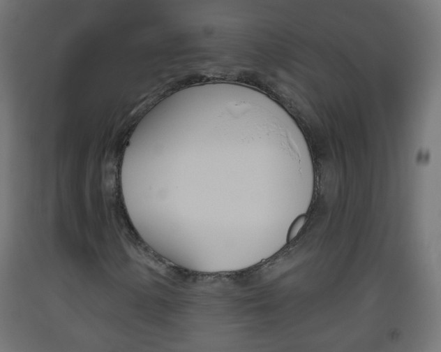 X0000093561154200710150951