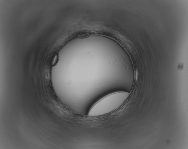 X0000093561155200710150951
