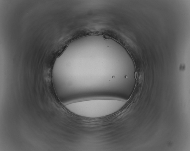 X0000093561156200710150951