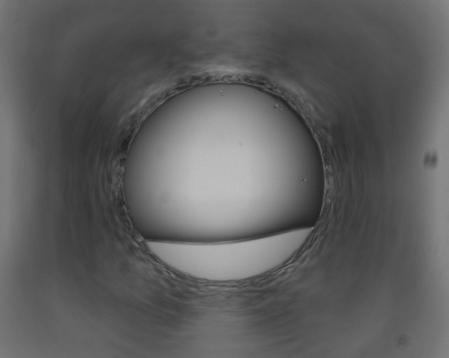 X0000093561157200710150951