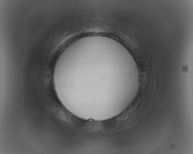 X0000093561158200710150951
