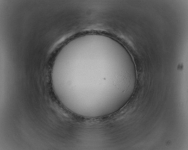 X0000093561159200710150951