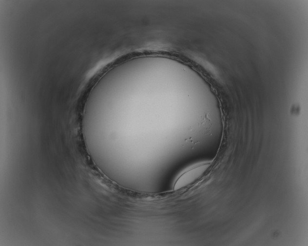 X0000093561160200710150951