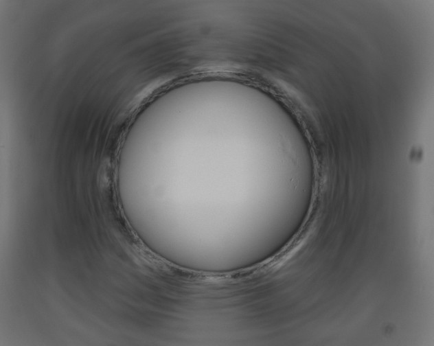 X0000093561161200710150951