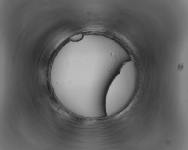 X0000093561162200710150951