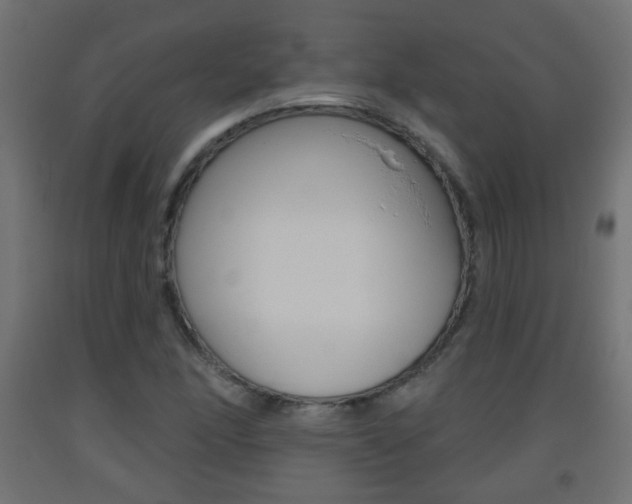 X0000093561166200710150951