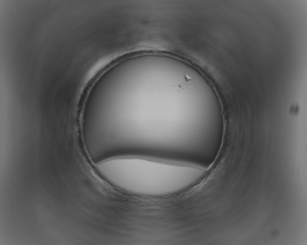 X0000093561168200710150950