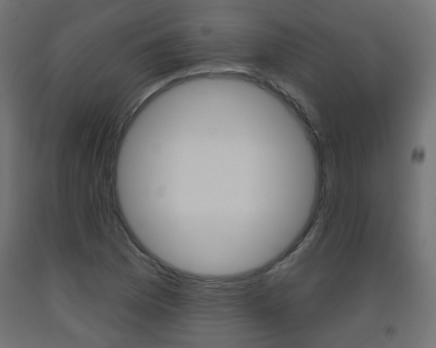 X0000093561169200710150950
