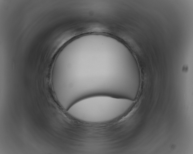 X0000093561170200710150950