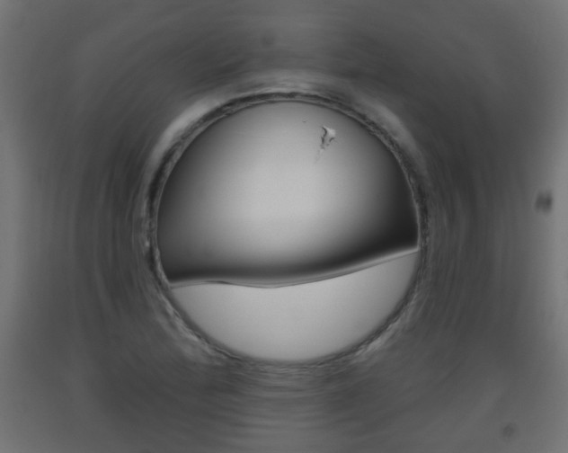 X0000093561172200710150950