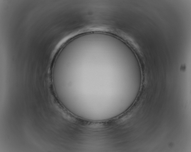 X0000093561174200710150950