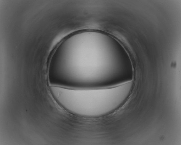 X0000093561176200710150950