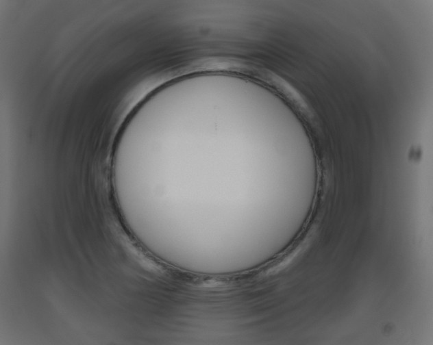 X0000093561178200710150950