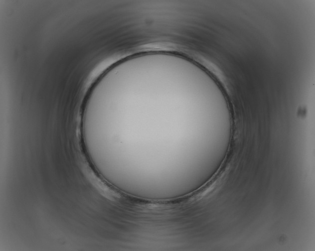 X0000093561179200710150950