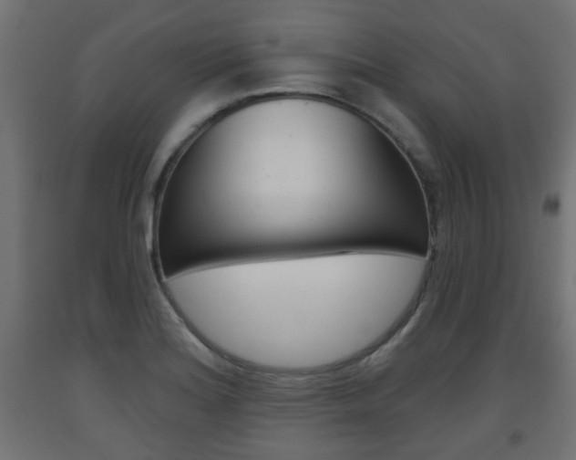 X0000093561180200710150950