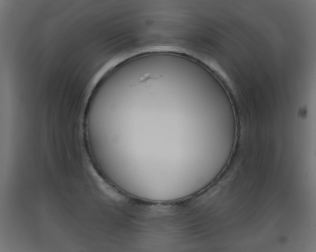 X0000093561181200710150950