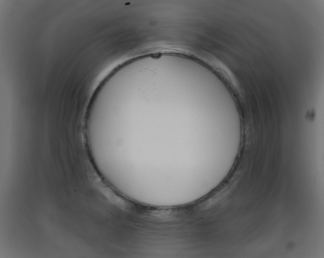 X0000093561182200710150950