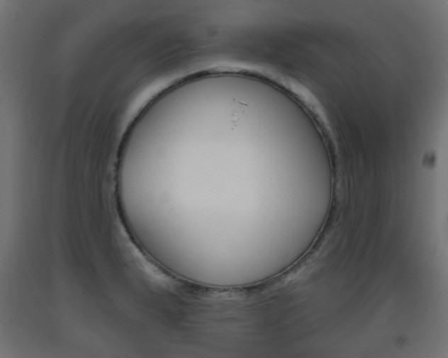 X0000093561183200710150950