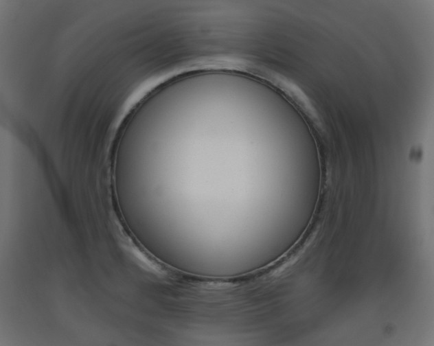 X0000093561184200710150950