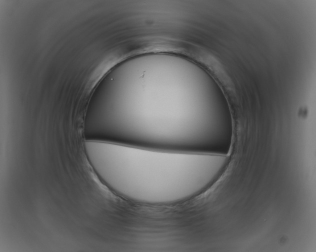 X0000093561185200710150950