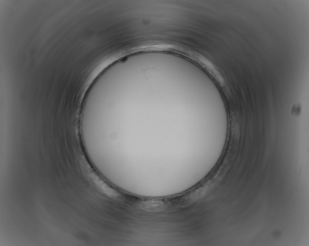 X0000093561186200710150950