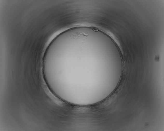 X0000093561187200710150950