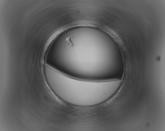 X0000093561188200710150950