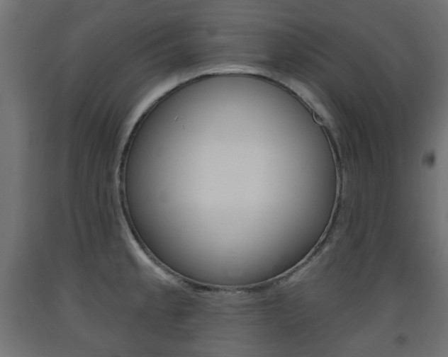 X0000093561189200710150950