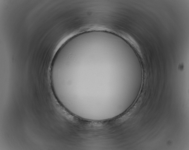 X0000093561190200710150950