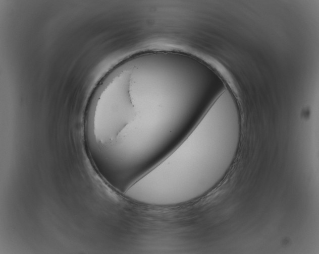 X0000093561191200710150950