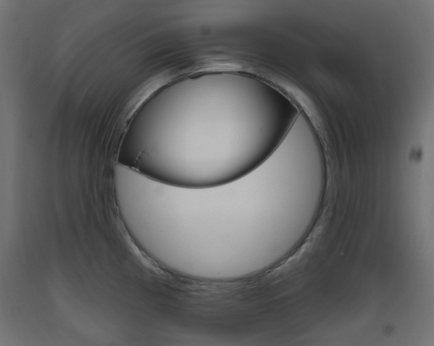 X0000093561193200710150950