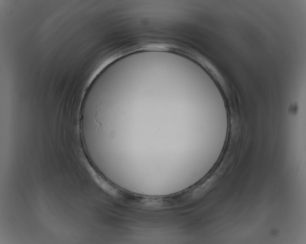 X0000093561194200710150950