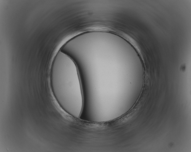 X0000093561195200710150950