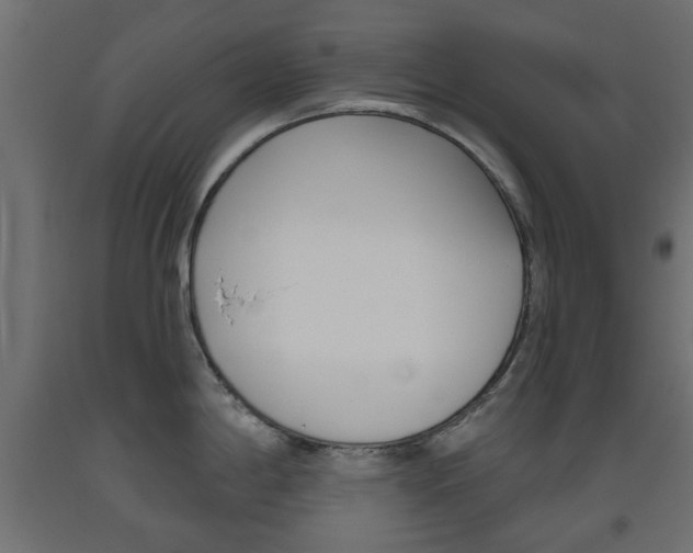 X0000093561198200710150950