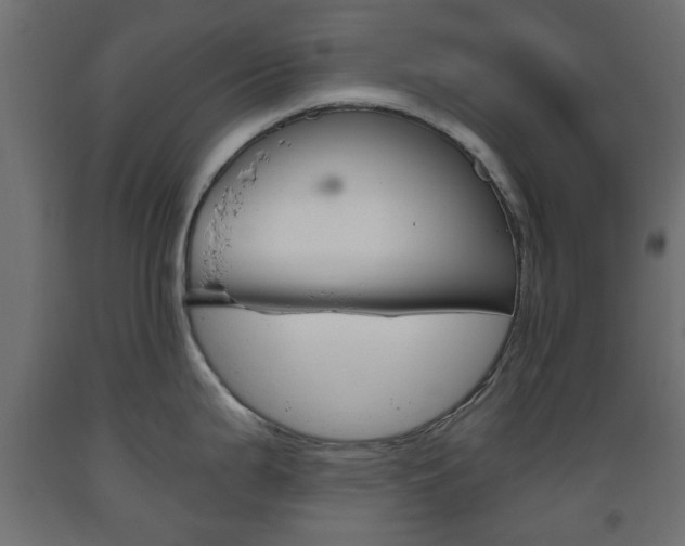 X0000093561199200710150950