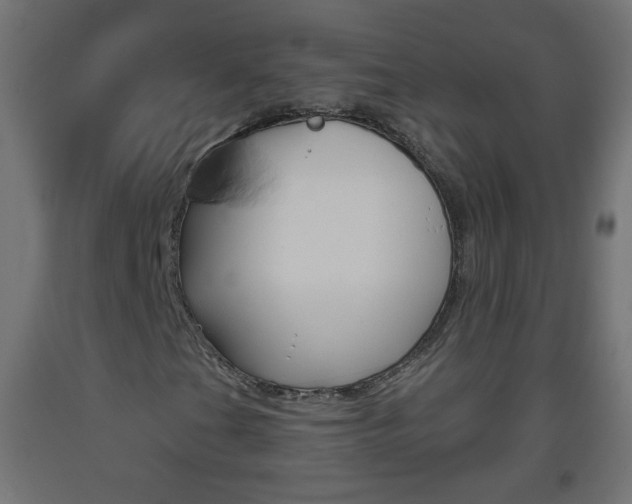 X0000093561201200710150949