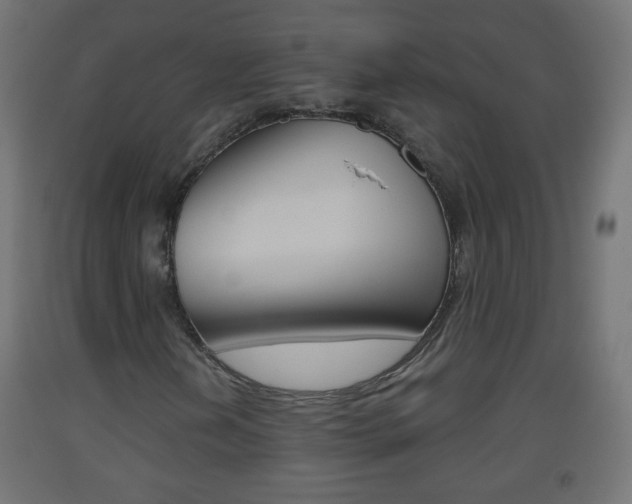 X0000093561202200710150950