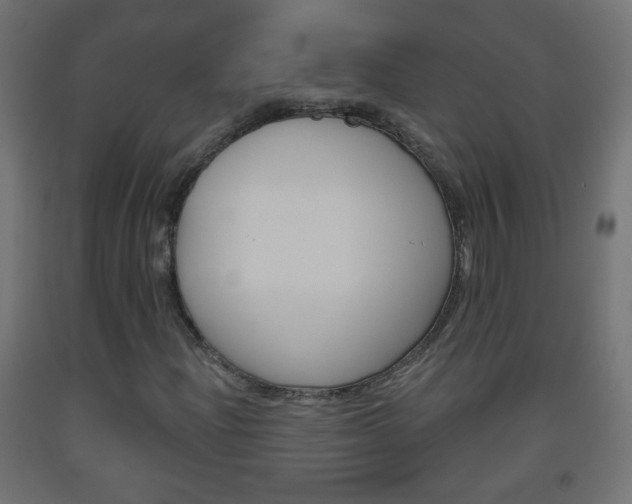 X0000093561204200710150950
