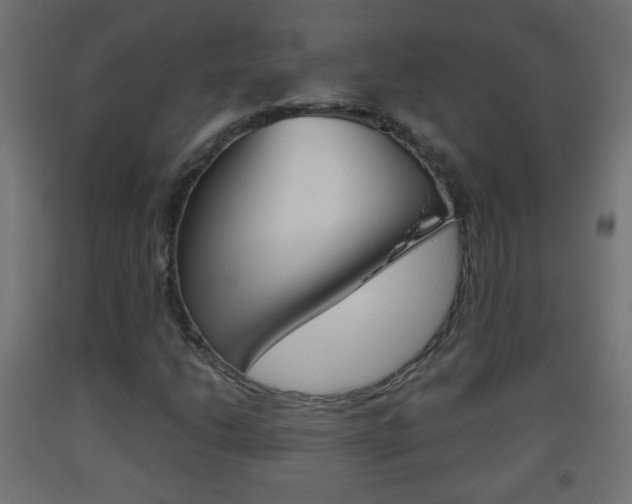 X0000093561206200710150950