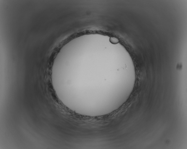 X0000093561207200710150950